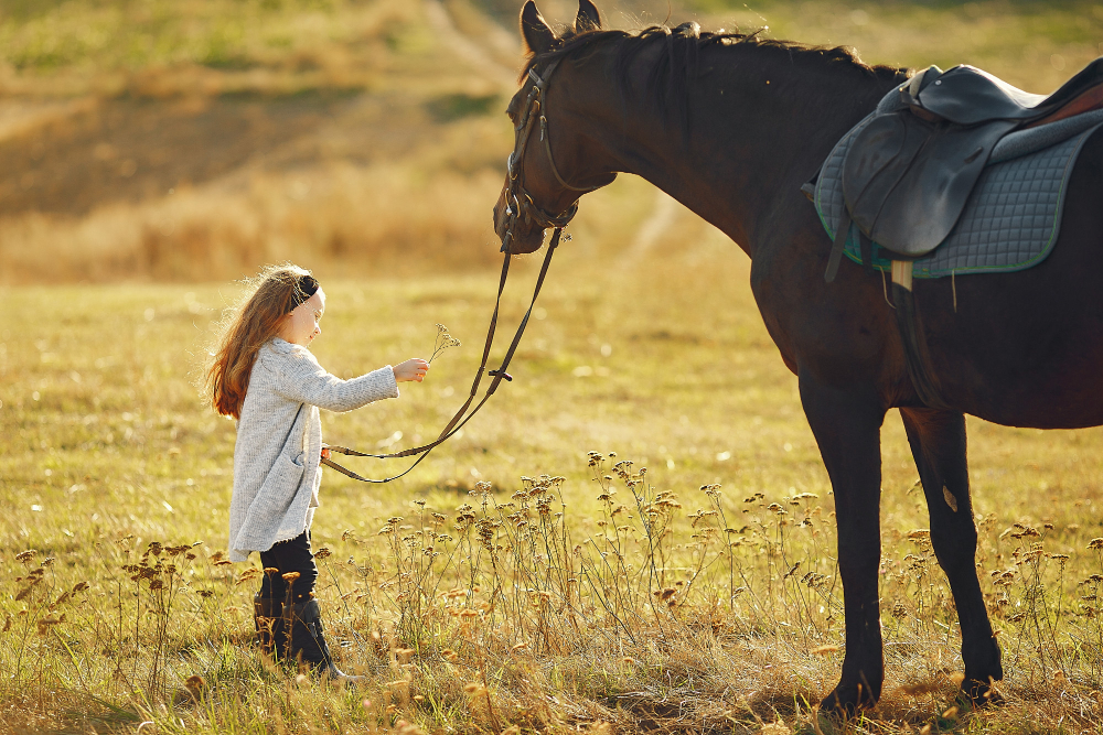 Hobby horse – czym jest? Poznaj fenomen zabawy w koński chwytak post thumbnail image